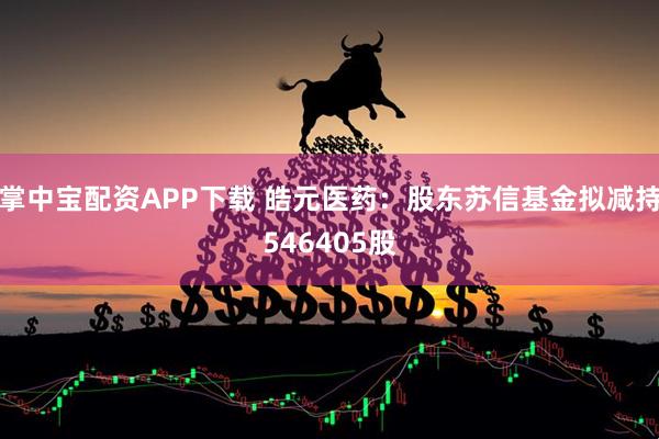 掌中宝配资APP下载 皓元医药：股东苏信基金拟减持546405股