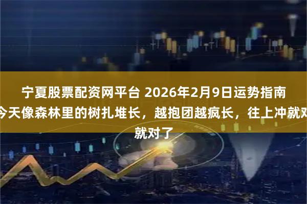 宁夏股票配资网平台 2026年2月9日运势指南：今天像森林里的树扎堆长，越抱团越疯长，往上冲就对了